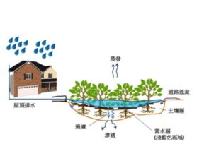 技術開發的全景透析 從概念到實踐