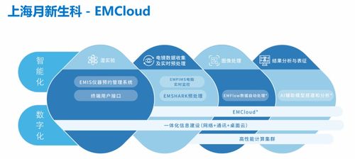 戴爾攜手上海月新生科 以強(qiáng)大算力賦能冷凍電鏡結(jié)構(gòu)生物學(xué)研究新時(shí)代